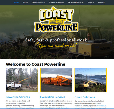 Strategic Alliance of Business Technology Disciplines